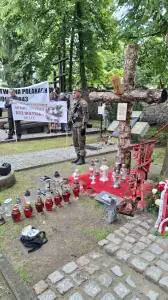 Dokumentacja wizualna